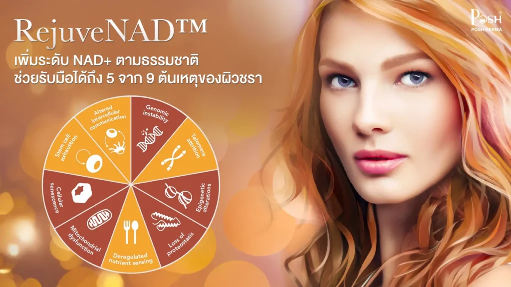 RejuveNAD™ ไม่ได้แค่ชะลอวัย…แต่เข้าไปแก้ที่ ต้นเหตุของการเสื่อมในระดับเซลล์