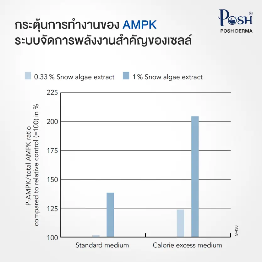 Episnow กระตุ้นการทำงานของ AMPK ระบบจัดการพลังงานสำคัญของเซลล์