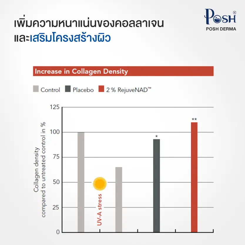 RejuveNAD เพิ่มความหนาแน่นของคอลลาเจน
และเสริมโครงสร้างผิว