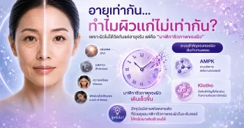 Infographic อธิบาย Biological Clock ของผิว AMPK Klotho และ EpiSnow สำหรับสกินแคร์ Anti-Aging