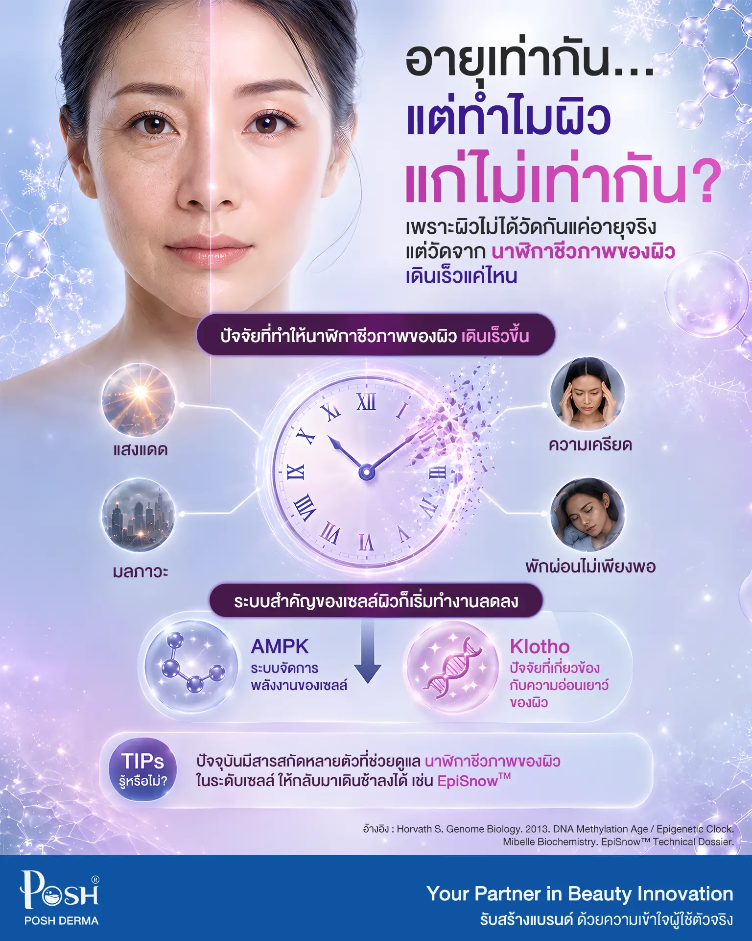 Infographic อธิบาย Biological Clock ของผิว AMPK Klotho และ EpiSnow สำหรับสกินแคร์ Anti-Aging