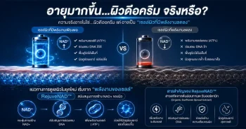 Infographic อธิบายผิวดื้อครีม NAD+ และ RejuveNAD สำหรับสกินแคร์ Anti-Aging