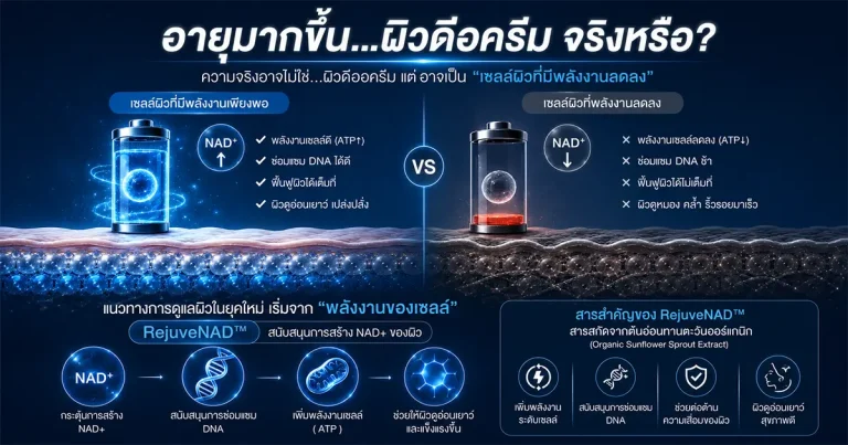 Infographic อธิบายผิวดื้อครีม NAD+ และ RejuveNAD สำหรับสกินแคร์ Anti-Aging