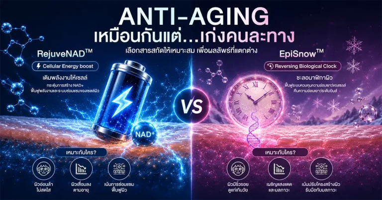 Infographic เปรียบเทียบ RejuveNAD และ EpiSnow สำหรับการพัฒนาสกินแคร์ Anti-Aging