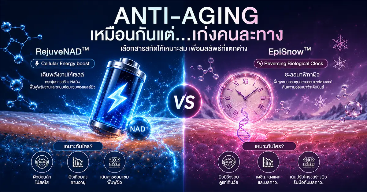 Infographic เปรียบเทียบ RejuveNAD และ EpiSnow สำหรับการพัฒนาสกินแคร์ Anti-Aging