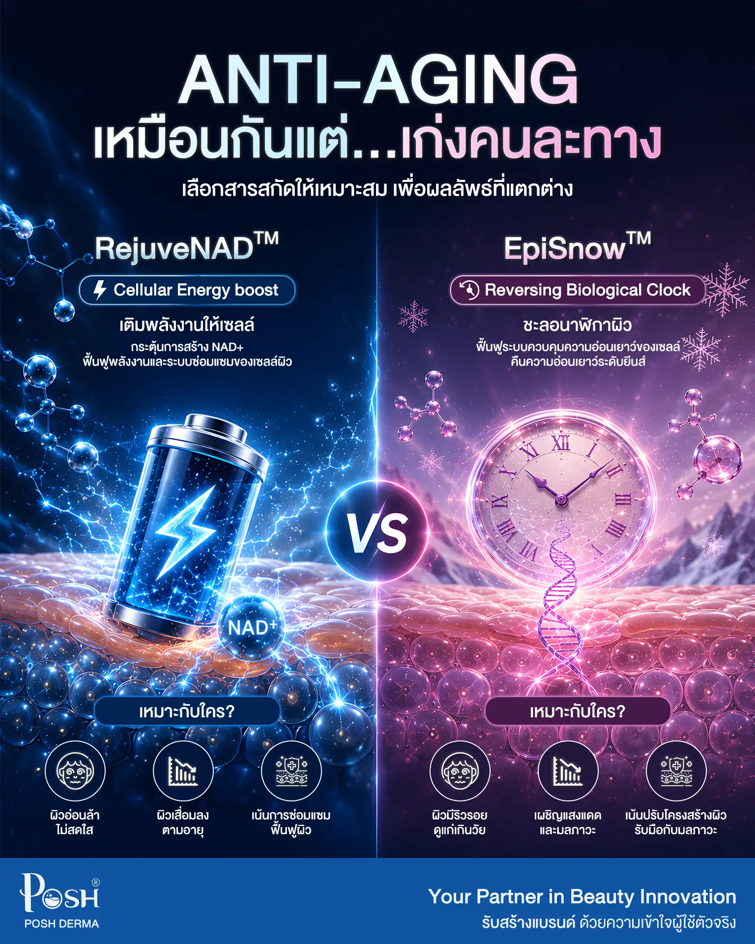 Infographic เปรียบเทียบ RejuveNAD และ EpiSnow สำหรับการพัฒนาสกินแคร์ Anti-Aging